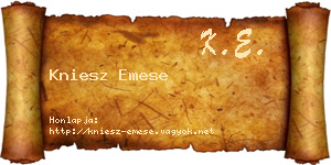 Kniesz Emese névjegykártya